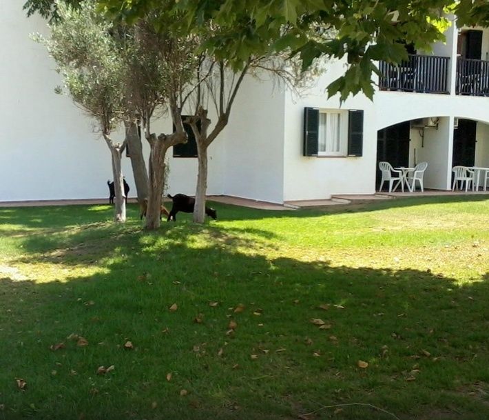 Seth Sa Mirada Aparthotel Arenal d'en Castell Exterior photo